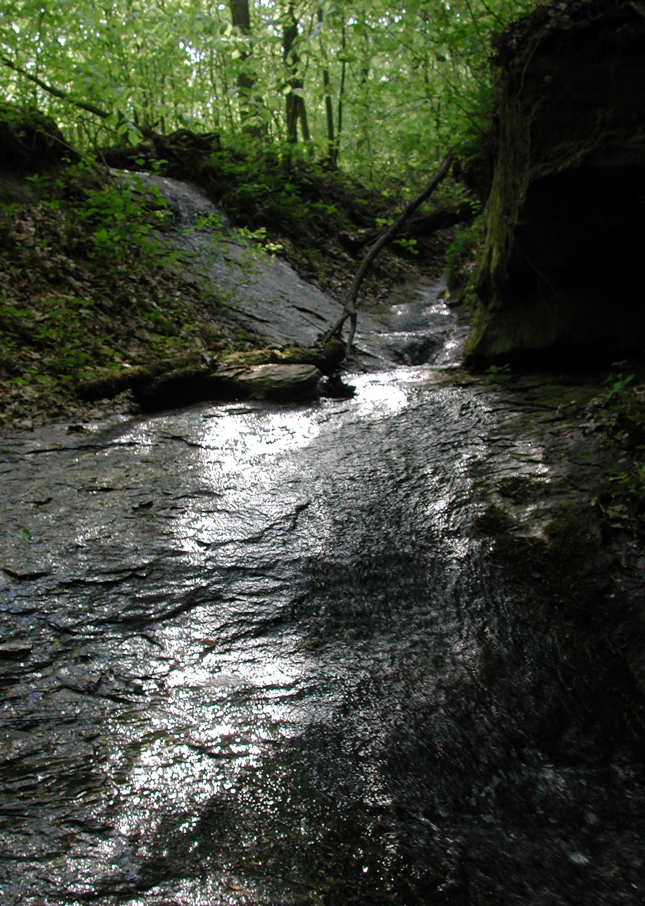 Sluice in Streamway Formed by Bedrock