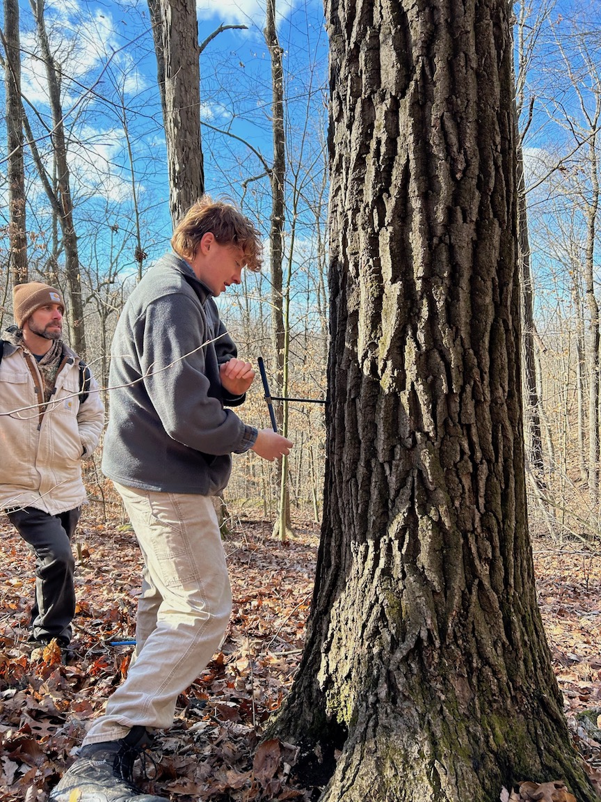 Secrete Tree Secret Life of Trees Revealed from their Cores – Athens Conservancy