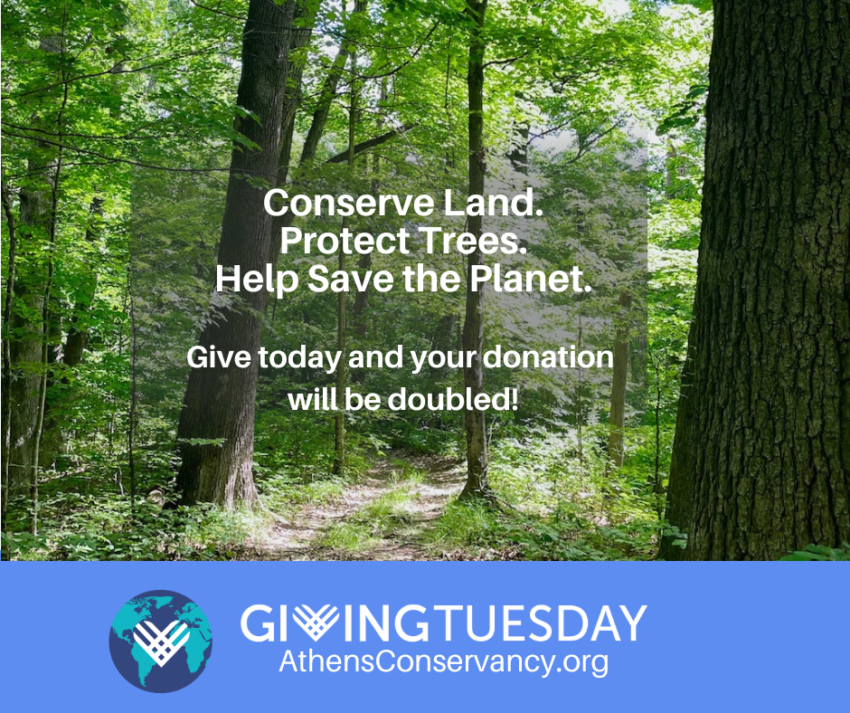 Double your impact on Giving Tuesday – Athens Conservancy